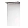 Elation Ikoma 450mm Bathroom Mirror Unit - Bodega Grey