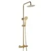 Niagara Equate Round Brushed Brass Thermostatic Dual Head Shower Set