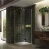 Kudos Pinnacle 8 1200mm Hinged Shower Door For Corner - Right Hand