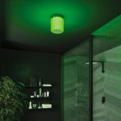 HIB Rhythm Bluetooth LED Ceiling Light -Lumibath Shop Rhythm Green cameo NEW