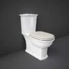 Washington Close Coupled Open Back Push Button Flush WC With Soft Close Seat Greige - RAK Ceramics