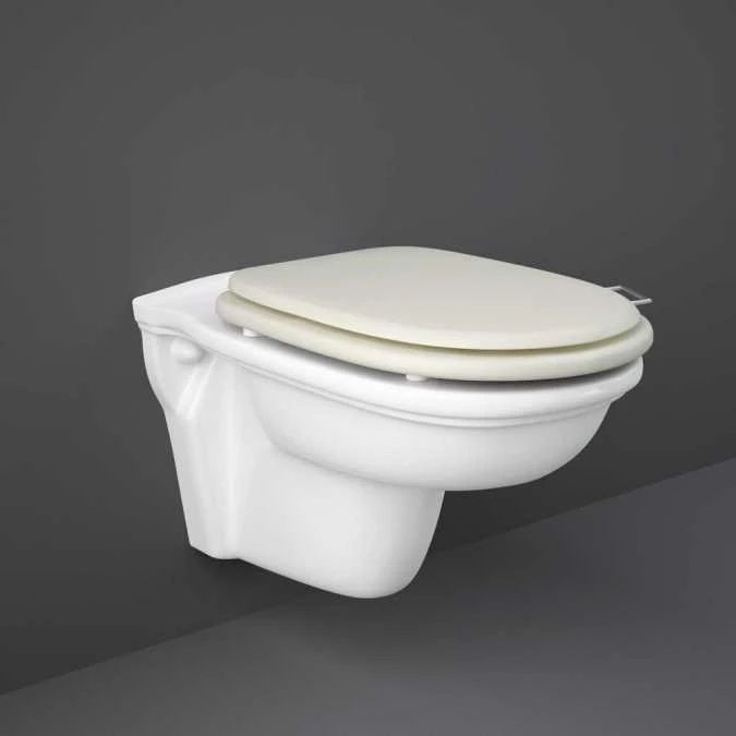 Washington Wall Hung WC With Soft Close Seat Greige - RAK Ceramics 1 Washington Wall Hung WC With Soft Close Seat Greige - RAK Ceramics