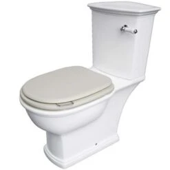 Washington Close Coupled Open Back Lever Flush WC With Soft Close Seat Greige - RAK Ceramics