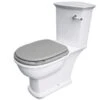 Washington Close Coupled Open Back Lever Flush WC With Soft Close Seat Grey - RAK Ceramics