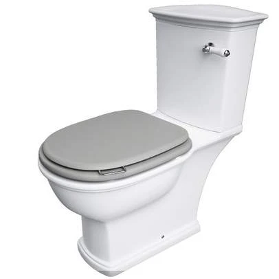 Washington Close Coupled Open Back Lever Flush WC With Soft Close Seat Grey - RAK Ceramics 1 Washington Close Coupled Open Back Lever Flush WC With Soft Close Seat Grey - RAK Ceramics