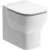 Saxony Back To Wall Toilet & Soft Close Seat