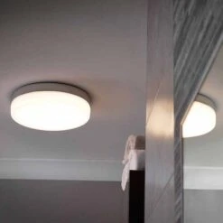 Sensio Hudson Decorative Bathroom LED Ceiling Light
